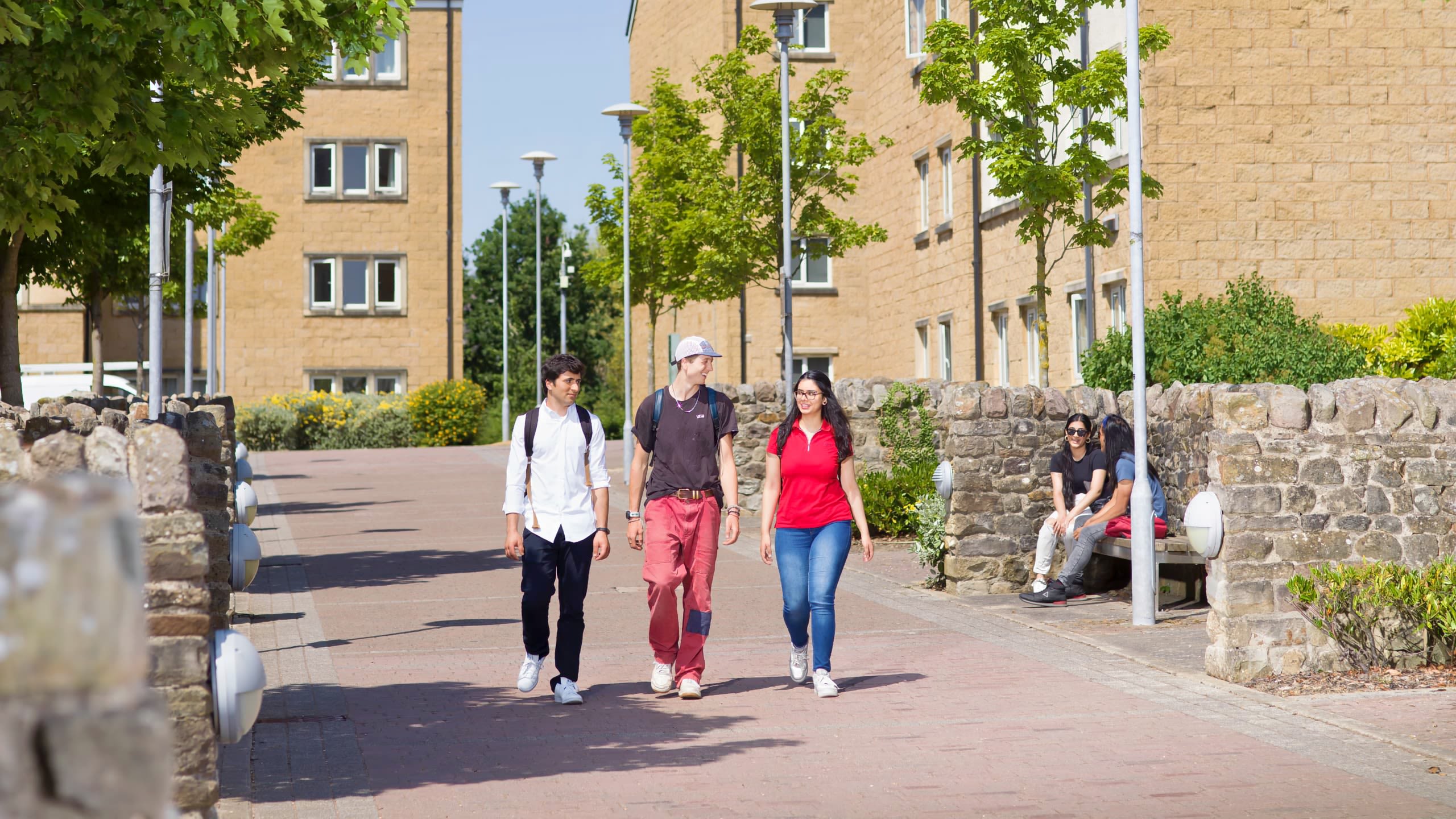 Three students walk down an avenue between accommodation blocks on a sunny day