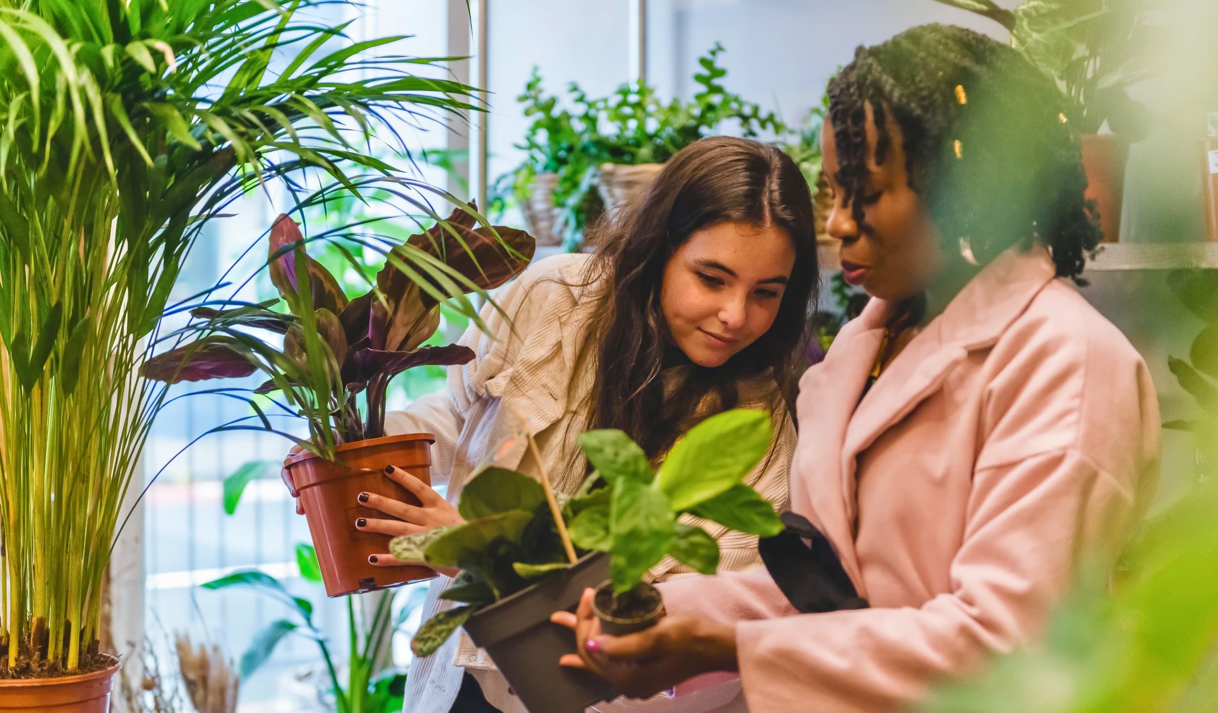 Two students compare potted plants in a shop dedicated to domestic plants.